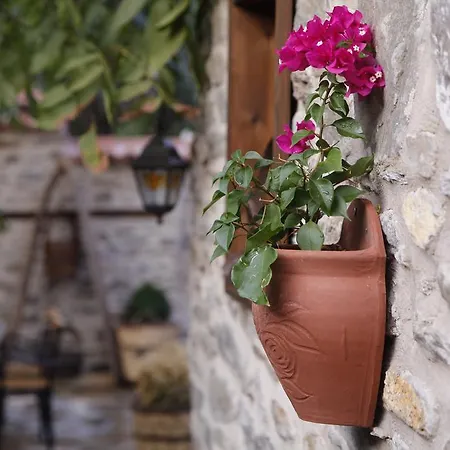 Yeni Gelin Evi * Birgi