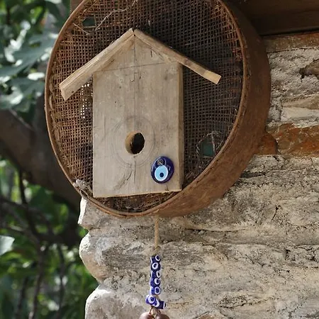 Yeni Gelin Evi