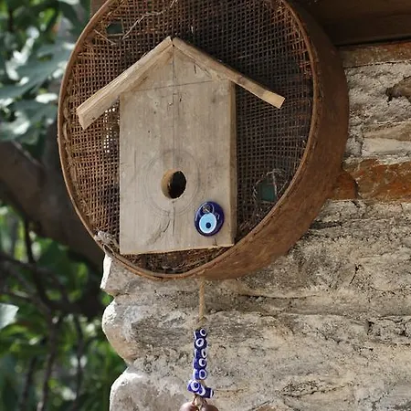 Yeni Gelin Evi