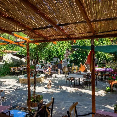 Yeni Gelin Evi Проживание в семье Бирги