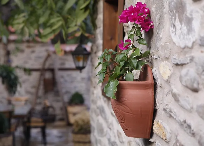 Yeni Gelin Evi * Birgi